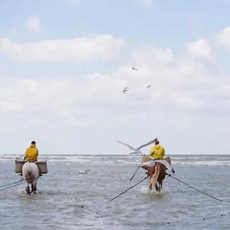 On Belgian Coast With Sea View Apartmán Oostduinkerke