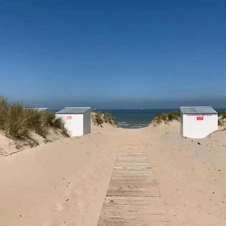 On Belgian Coast With Sea View