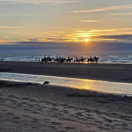 Apartmán On Belgian Coast With Sea View *