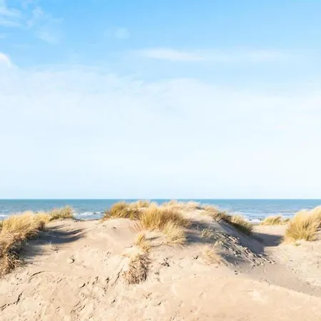 On Belgian Coast With Sea View