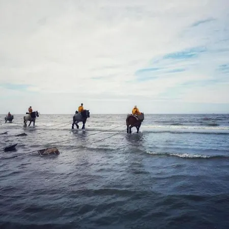 On Belgian Coast With Sea View Apartmán